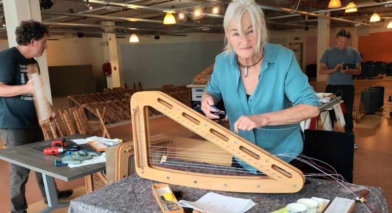 100 harpen Leerorkest